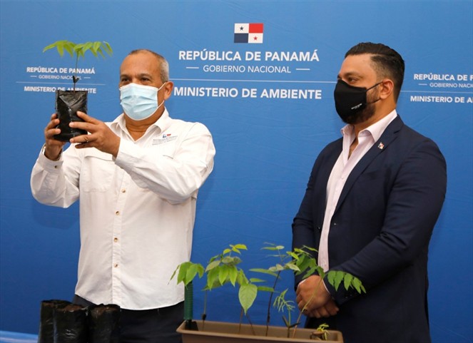 Noticia Radio Panamá | Presentan Plan Nacional de Restauración Forestal con bases medibles y resultados reales