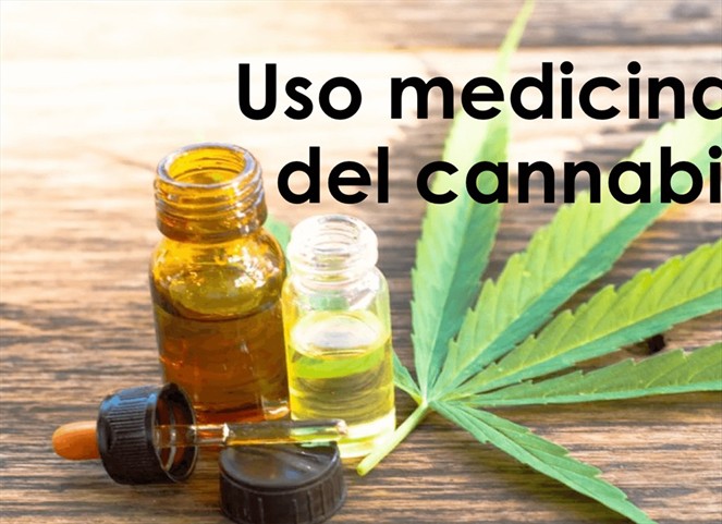 Noticia Radio Panamá | Proyecto sobre el uso medicinal del cannabis podrá tener nuevamente un primer debate la próxima semana