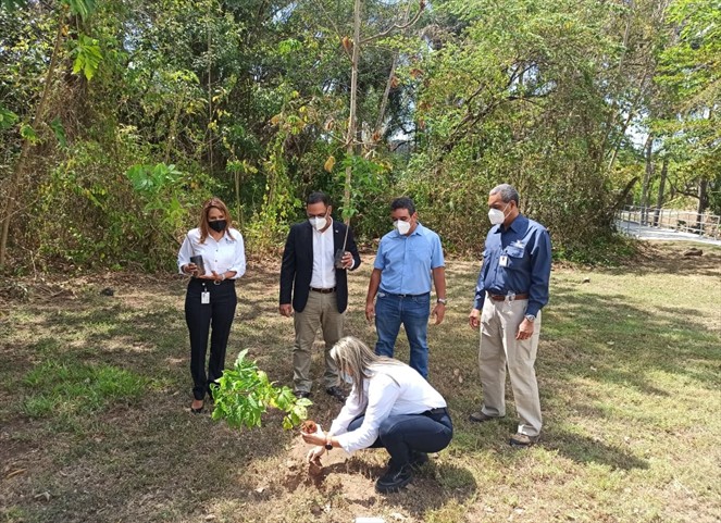 Noticia Radio Panamá | Panamá Pacífico entrega a MiAmbiente 153 hectáreas reforestadas en Mocambo