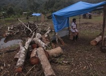 Noticia Radio Panamá | Más de 12 terrenos privados han sido invadidos en Bocas del Toro