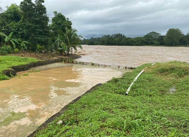 Noticia Radio Panamá | Situación climática afecta plantas potabilizadoras a nivel nacional