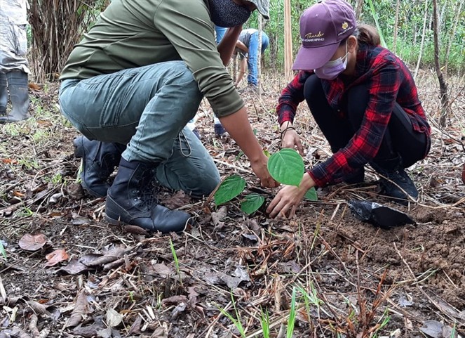 Noticia Radio Panamá | Voluntarios participan en reforestación de terrenos dentro del Camino de Cruces