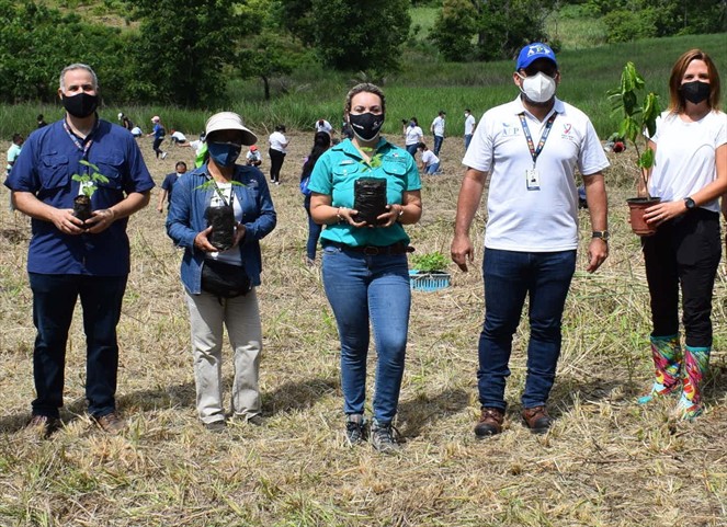 Noticia Radio Panamá | Inicia jornada de reforestación en Panamá Pacífico con guayacanes, flamboyán, jacarandas y frutales nativos del área