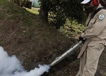 Noticia Radio Panamá | Un 43% de infestación por aedes aegypti pertenece al corregimiento de Veracruz