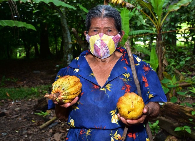Noticia Radio Panamá | La abuela de 73 años que desarrolla su emprendimiento entre matas de cacao