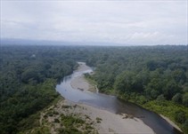 Noticia Radio Panamá | Investigan hallazgo de nueve cuerpos y una osamenta en dos ríos de la comarca Emberá Wounaán