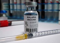 Noticia Radio Panamá | La Organización Mundial de la Salud aprueba la primera vacuna contra la malaria