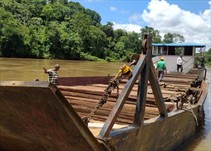 Noticia Radio Panamá | Autoridades realizaron la retención de madera espavé en río Balsas Darién