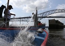 Noticia Radio Panamá | UE extiende por seis meses el plazo para que Panamá implemente un sistema de trazabilidad pesquera y acuícola