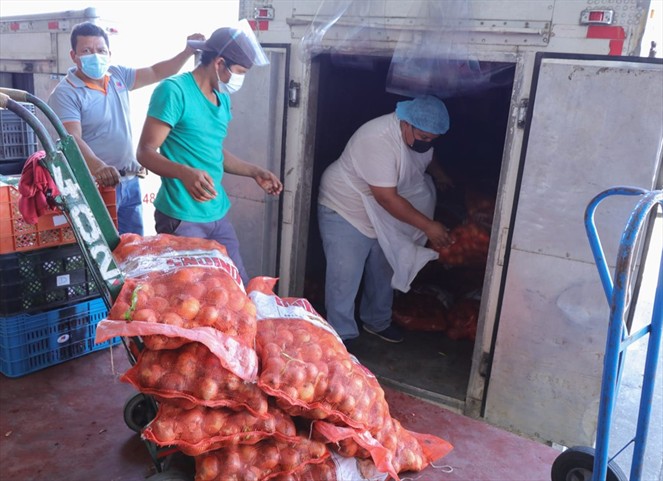 Noticia Radio Panamá | Decomisan 23 mil libras de cebollas y mil de ajos en operativo de vigilancia sanitaria en Merca Panamá