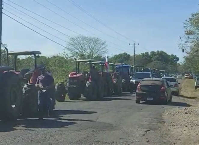 Noticia Radio Panamá | Productores de arroz en Chiriquí salen en caravana para exigirle al Gobierno que cumpla con los pagos adeudados