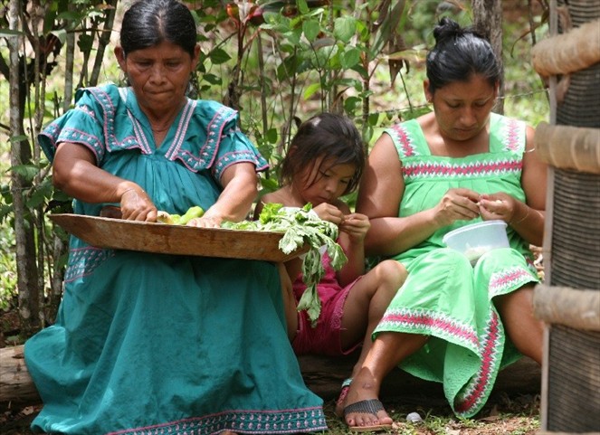 Noticia Radio Panamá | Denuncian en Panamá esterilizaciones a indígenas sin su consentimiento