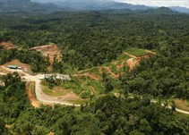 Noticia Radio Panamá | MiAmbiente inicia proceso de consulta para la elaboración del plan de manejo del área protegida de Donoso