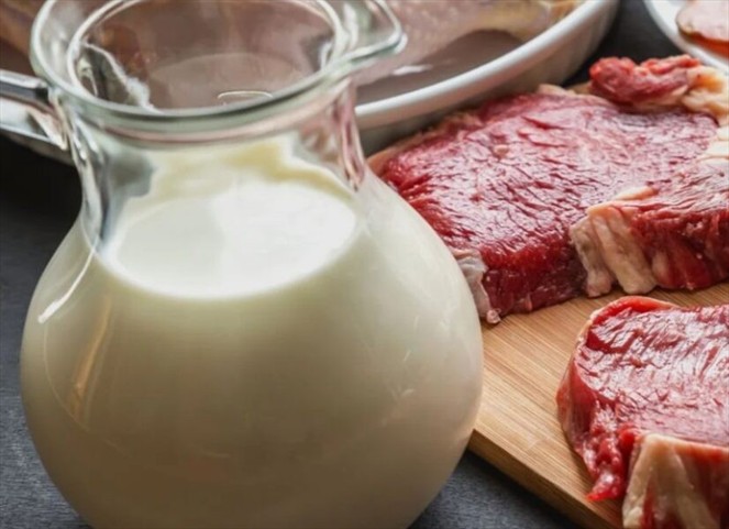 Noticia Radio Panamá | Productores de carne y leche piden al gobierno políticas de Estado para hacerle frente al TPC