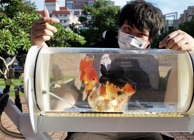 Noticia Radio Panamá | Un taiwanés crea un cochecito para que sus peces ‘exploren otros mundos’