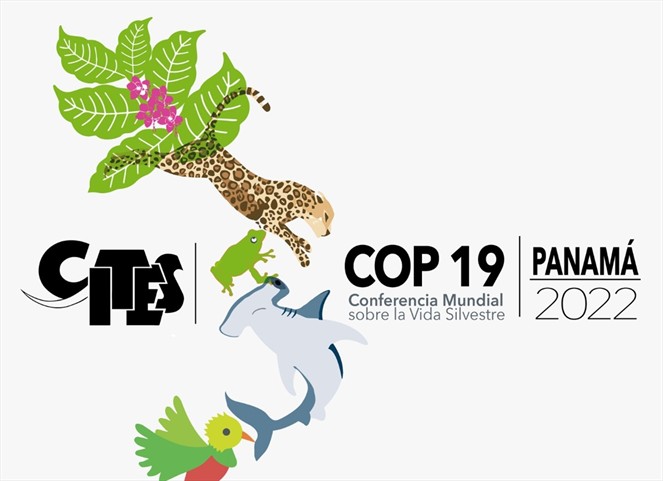 Noticia Radio Panamá | Panamá presenta oficialmente el logo de la 19vaCoP CITES como país anfitrión