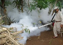 Noticia Radio Panamá | El dengue sigue latente en el país, este 2022 se han reportado 1,232 casos