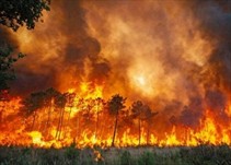 Noticia Radio Panamá | Incendios en el suroeste de Francia arrasan con más de 10.000 hectáreas de bosque