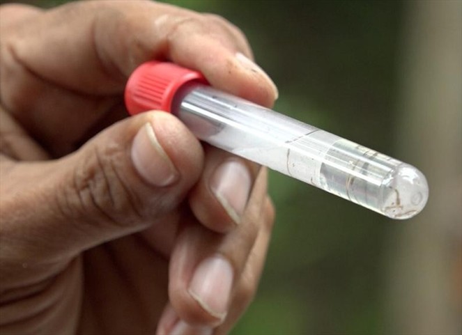Noticia Radio Panamá | Al menos 2 mil 859 casos de dengue se han registrado en todo el país