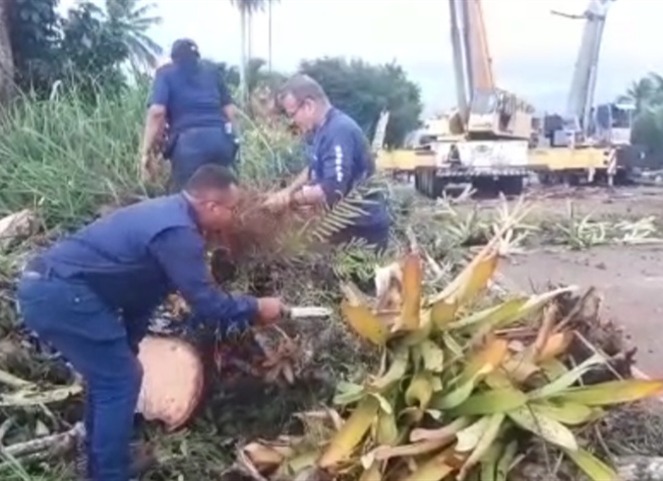 Noticia Radio Panamá | Realizan rescate de flora y fauna que habitaba en el “Bonga de Cuervito”, en Chiriquí