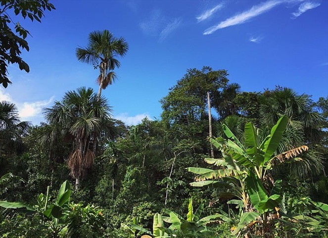 Noticia Radio Panamá | Colombia propondrá fondo internacional para campesinos que preserven la Amazonía