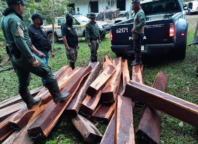 Noticia Radio Panamá | Incautan 18 tucas de madera Cocobolo valoradas en 40 mil dólares