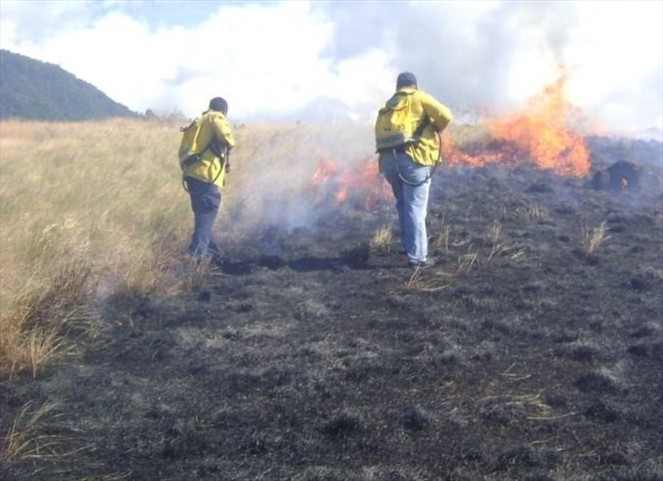 Noticia Radio Panamá | Incendios de Masa Vegetal disminuyen en las áreas protegidas de la provincia de Chiriquí