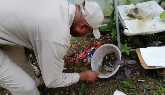 Featured image for “A la fecha, se han confirmado 4 mil 887 casos de dengue en todo el territorio nacional”