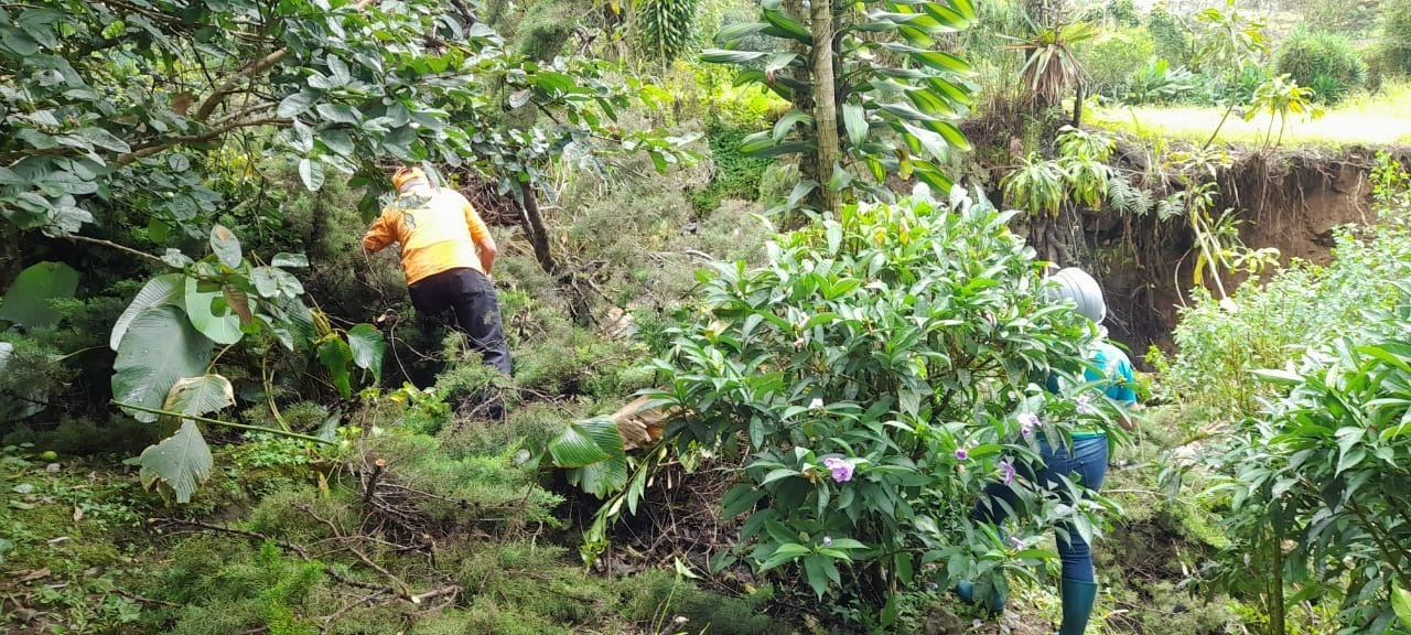 Noticia Radio Panamá | Sinaproc interviene en quebrada La Zumbona, tras caída de árboles y deslizamiento de tierra