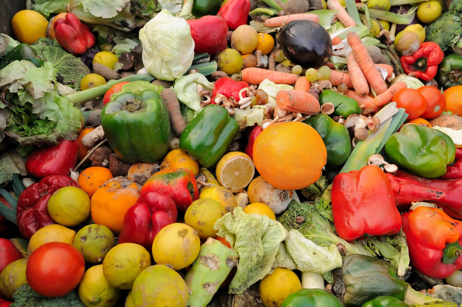 Featured image for “Investigación revela los planes que los fabricantes y minoristas pueden poner en acción para reducir la pérdida de alimentos”