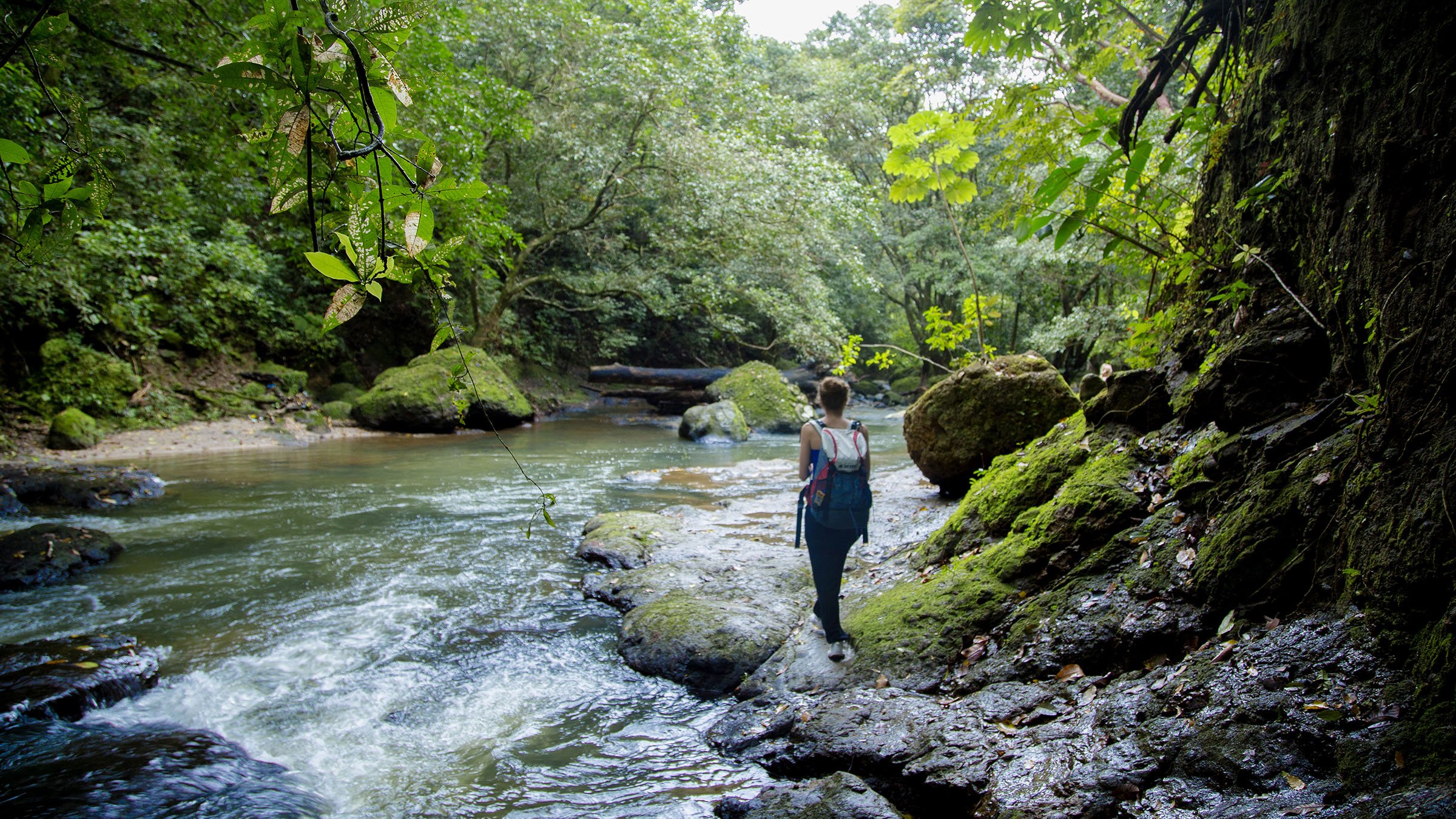 Noticia Radio Panamá | El ecoturístico interno lidera el interés de los viajeros en Panamá