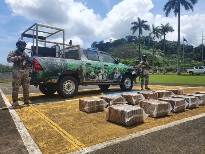 Featured image for “Decomisan 308 paquetes de droga en un manglar de  Los Santos”