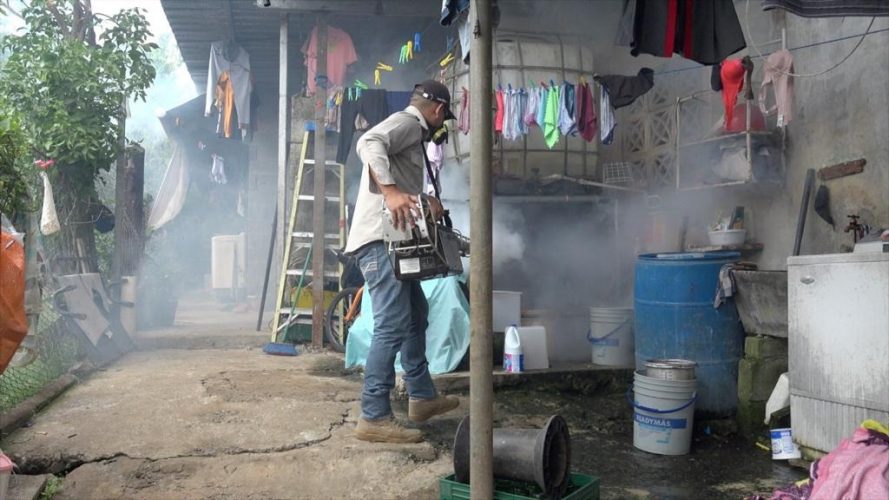Featured image for “Confirman tercera muerte por dengue en Panamá”