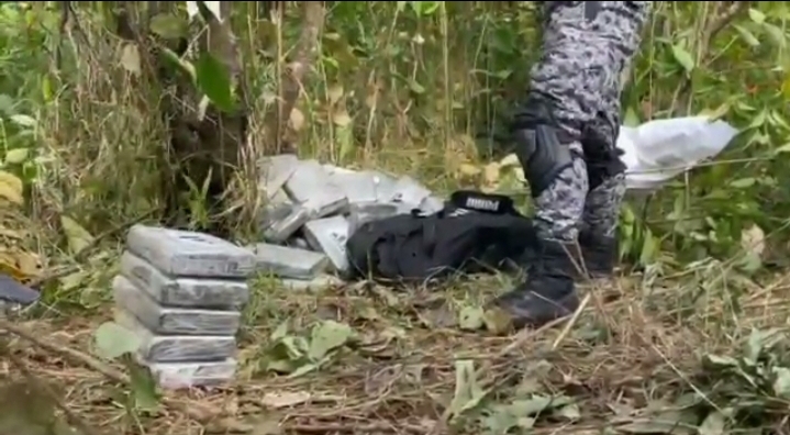 Incautan 80 kilos de droga en operativo en Colón