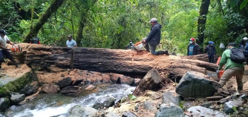 MiAmbiente promulga resolución para realizar jornadas de limpieza por emergencia ambiental en cuatro provincias y dos comarcas de Panamá