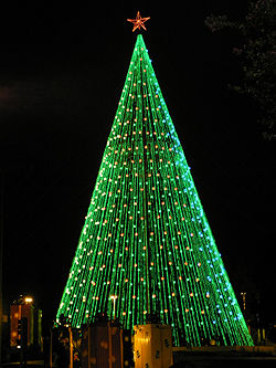 Noticia Radio Panamá | Del Monte encenderá la luz de la Navidad con su árbol de 15 metros