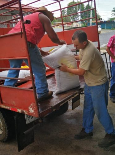 Productores afectados por inundaciones reciben 500 quintales de alimentos para cerdos
