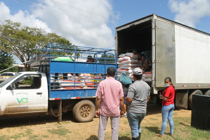 Noticia Radio Panamá | Productores de cerdo en Los Santos reciben ayudas, tras afectaciones por inundaciones