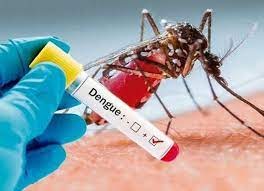 Minsa reiterates to the population to eliminate the breeding sites of the Aedes Aegypti mosquito