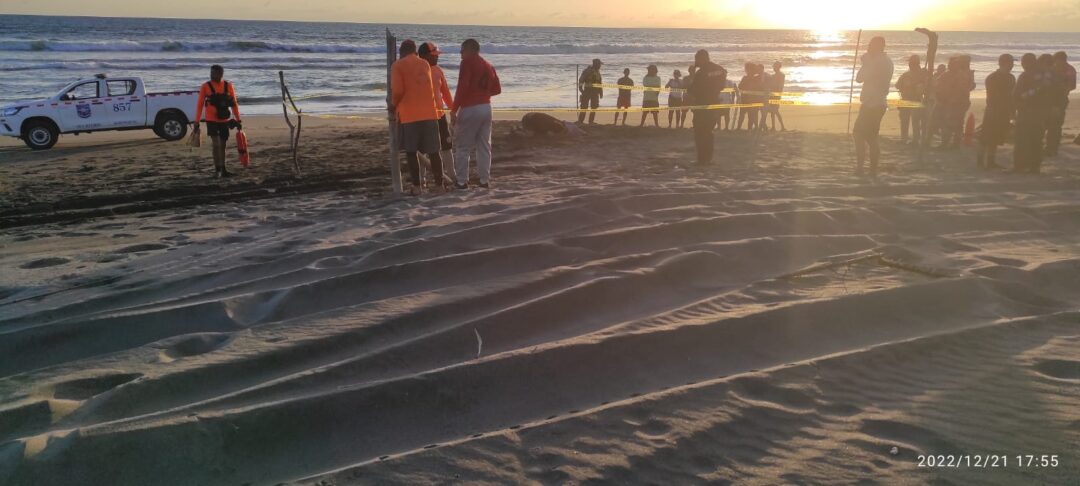 Featured image for “Menor desaparecido en playa La Barqueta es encontrado sin vida”