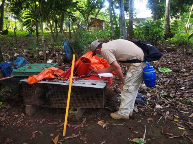 Noticia Radio Panamá | Confirman el primer caso de hantavirus del 2023 en la provincia de Los Santos