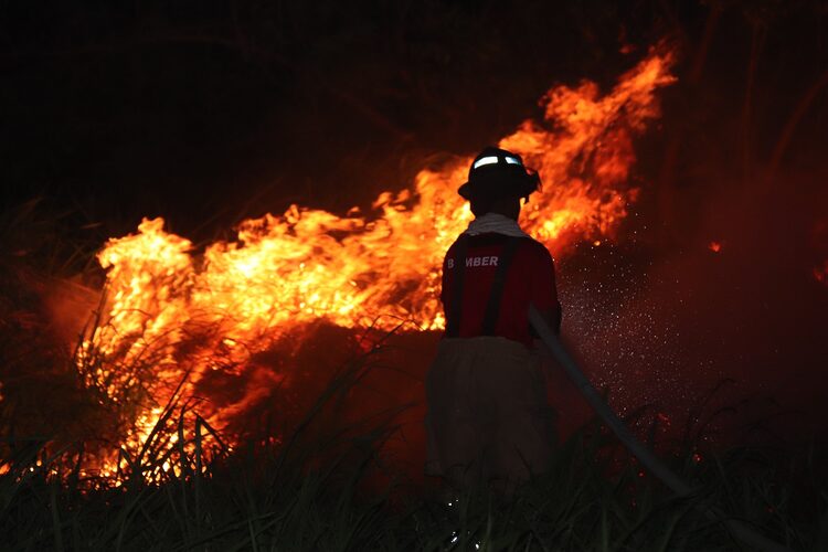 Featured image for “Los Bomberos y Etesa lanzan campaña para prevenir las quemas de herbazales”