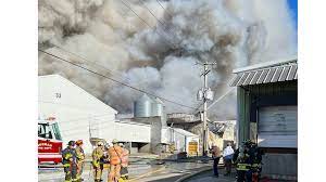 100,000 chickens die in fire in Connecticut