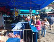 Featured image for “San Miguelito mantiene los operativos en la ruta del carnaval”