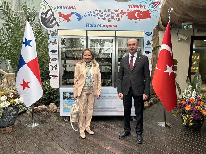 Noticia Radio Panamá | Mariposas de penonomé son exhibidas en Türkiye