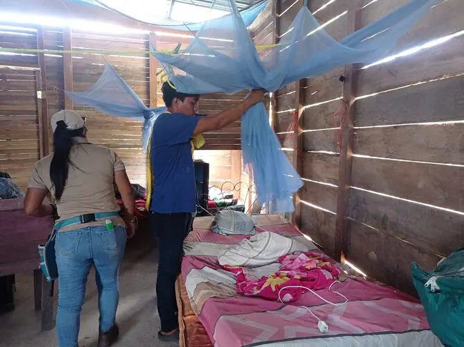 Noticia Radio Panamá | Minsa mantiene acciones contra la Malaria en Bocas del Toro