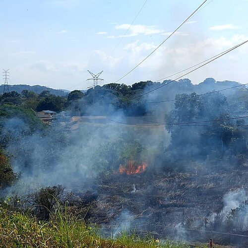 Featured image for “ETESA advierte del peligro que generan las quemas de herbazales”