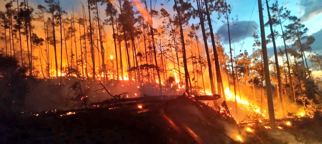 Noticia Radio Panamá | Incendio en la Reserva Forestal La Yeguada ha consumido más de 100 hectáreas