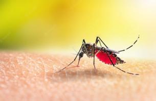 Noticia Radio Panamá | Más de 3 mil casos de malaria se han diagnosticado en Panamá en el 2023
