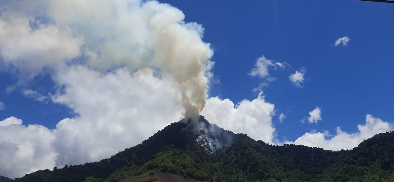 Noticia Radio Panamá | Cinco hectáreas del parque internacional la amistad han sido afectadas por incendio en tierras altas